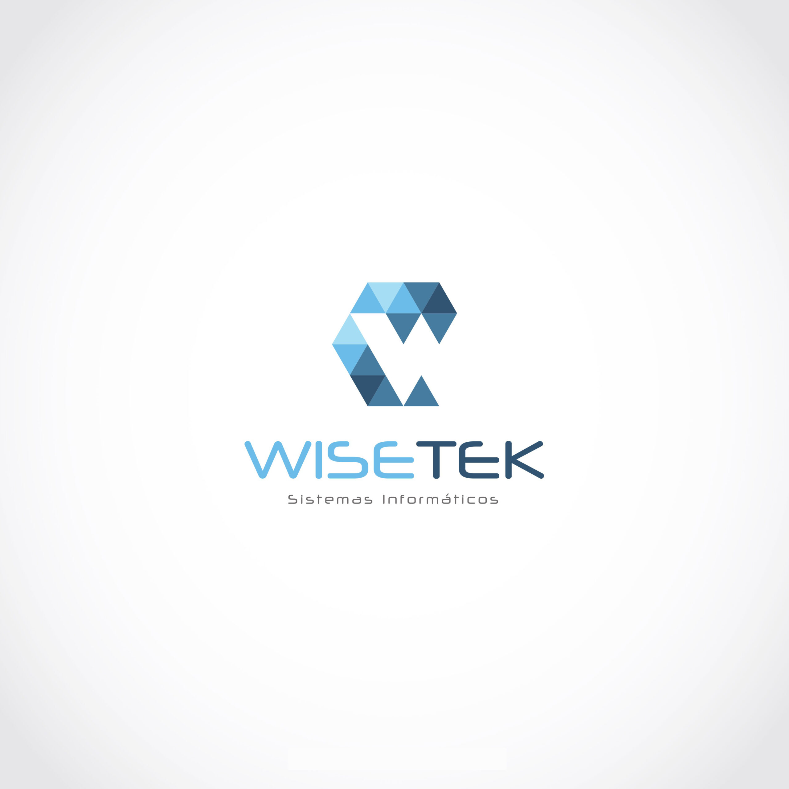 01_WISETEK_LOGO