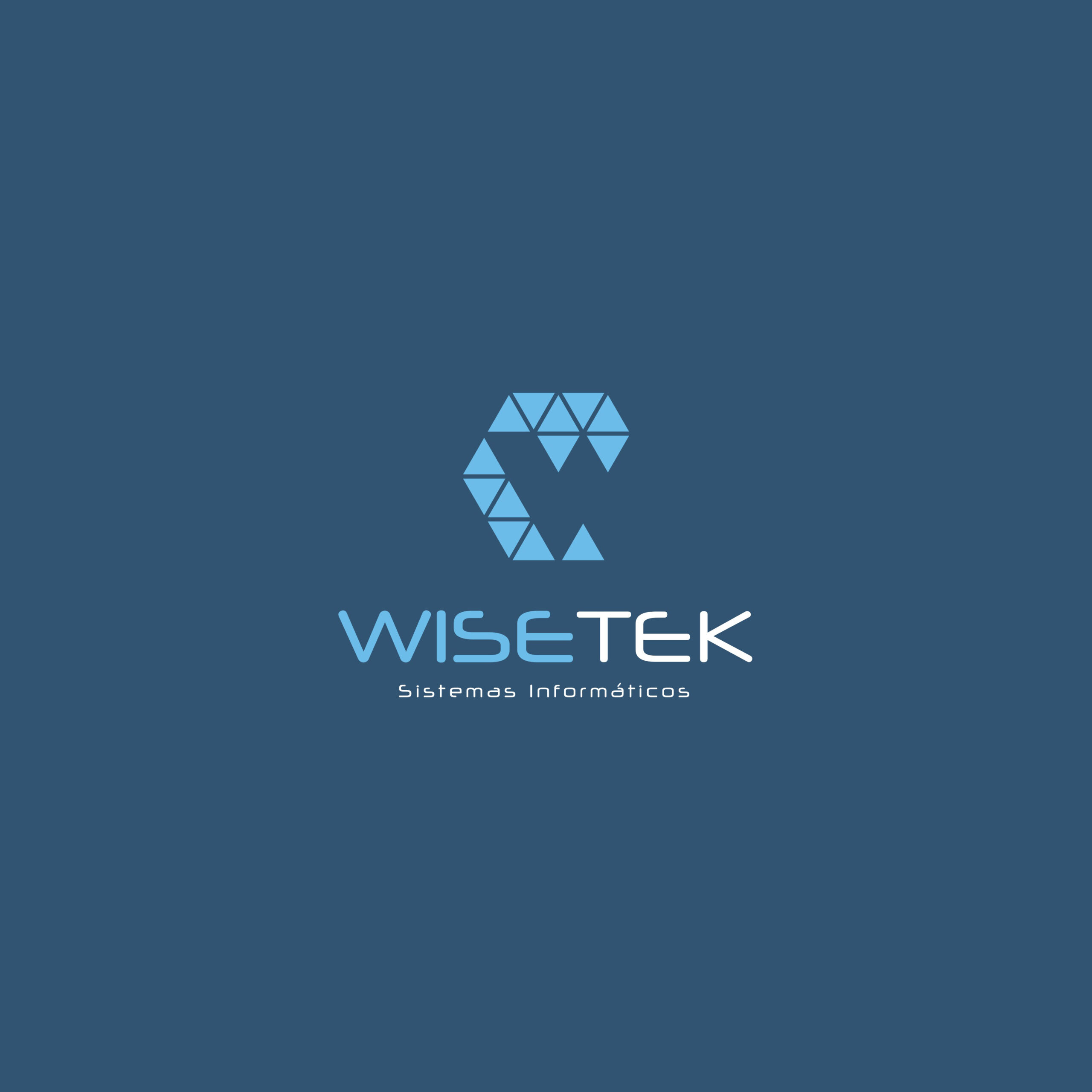 02_WISETEK_LOGO_branco